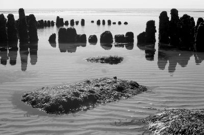 Ebbe &copy; 2005 J&ouml;rg Jeske