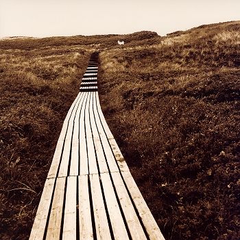 WEG ZUM MEER &copy; 2005 J&ouml;rg Jeske