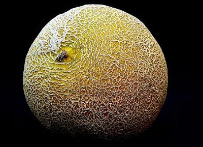 Melonmoon &copy; 2002 J&ouml;rg Jeske