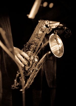 FRITZ BRAUSE13 &copy; J&ouml;rg Jeske 2009